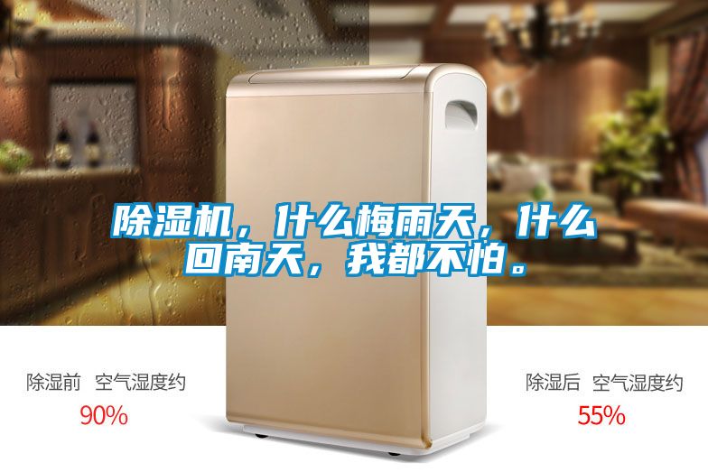 除濕機，什么梅雨天，什么回南天，我都不怕。