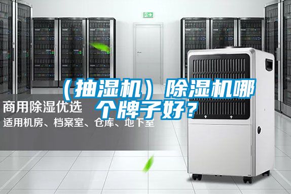 （抽濕機(jī)）除濕機(jī)哪個(gè)牌子好？